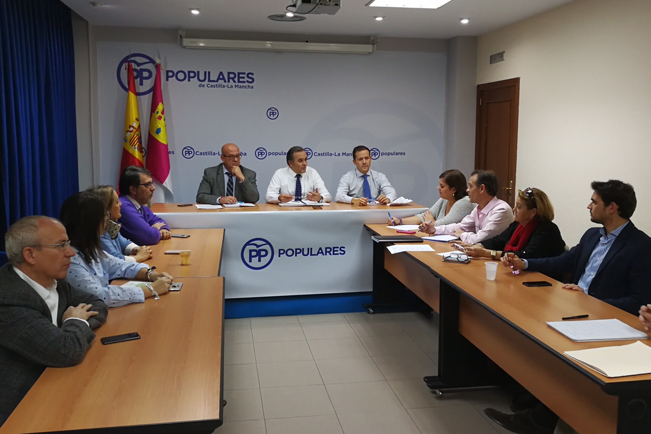 Comité de Dirección PP Toledo 201117