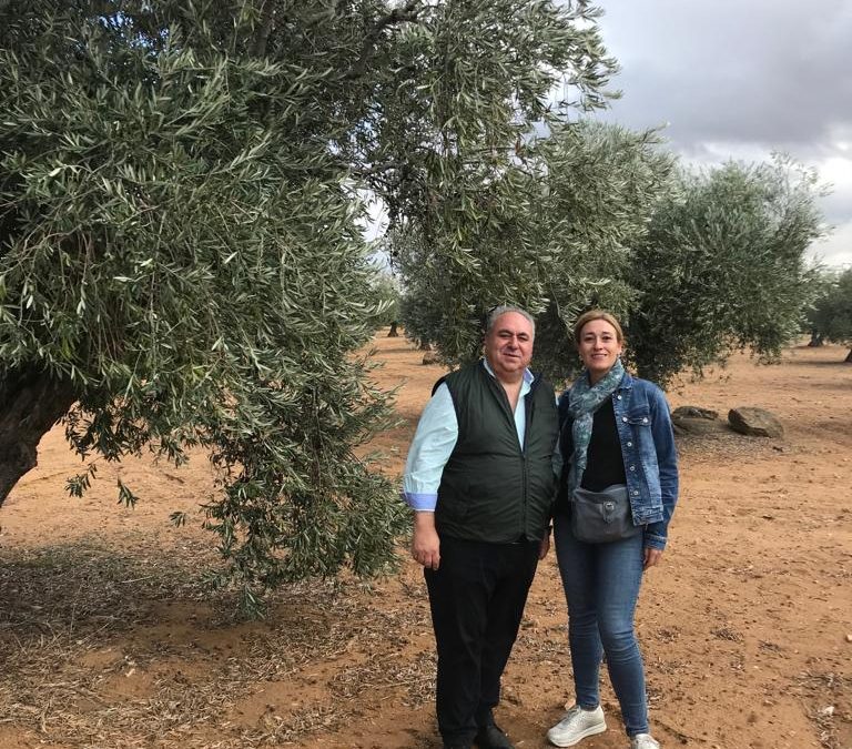 Tirado: “El campo y el olivar son y seguirán siendo una prioridad para el Partido Popular”
