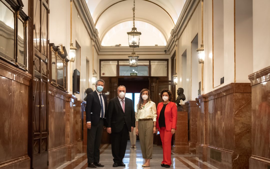 Los diputados nacionales de Toledo destacan el compromiso del PP en la defensa del mundo rural, al que el PSOE vuelve a dar la espalda