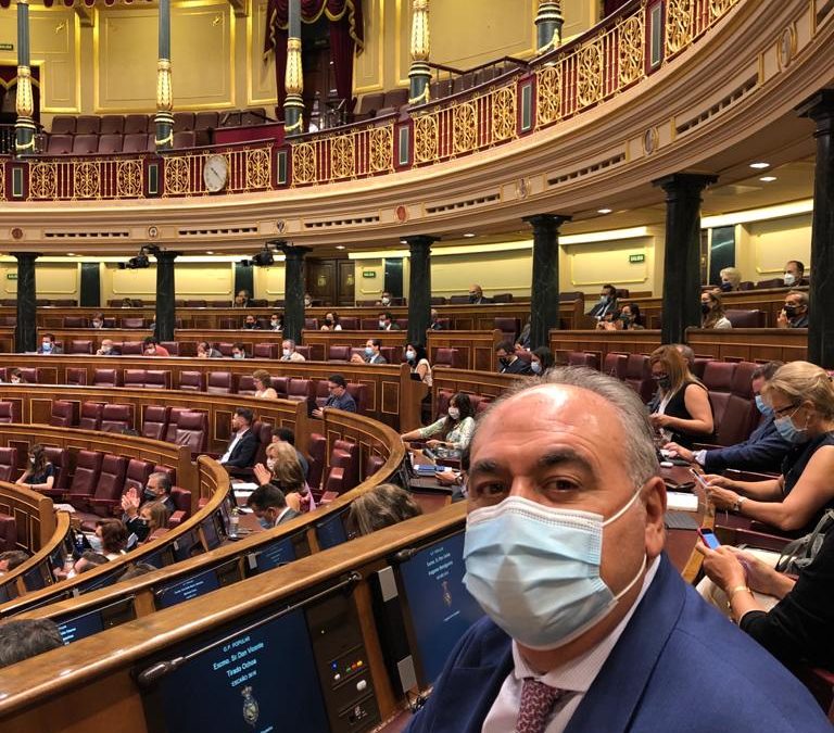 El PP propone desalojar en 12 horas a los que ocupen una vivienda ilegalmente