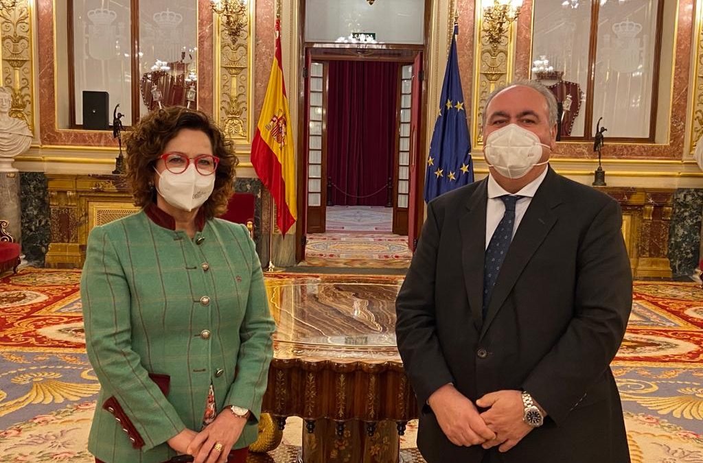 Tirado: “Los socialistas están llevando a la ruina a miles de toledanos”