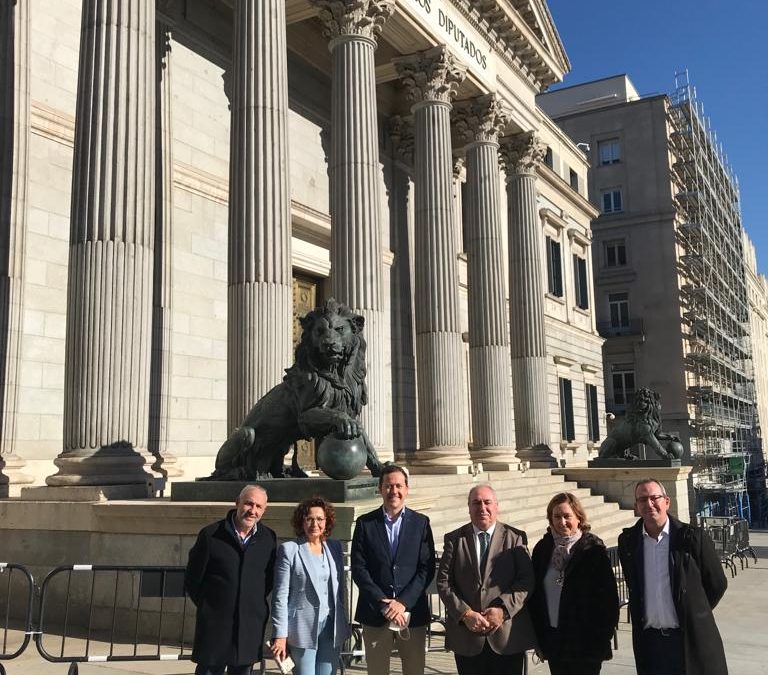 Velázquez exige a los Gobiernos del PSOE que se tomen en serio el problema de la ocupación ilegal y tomen medidas