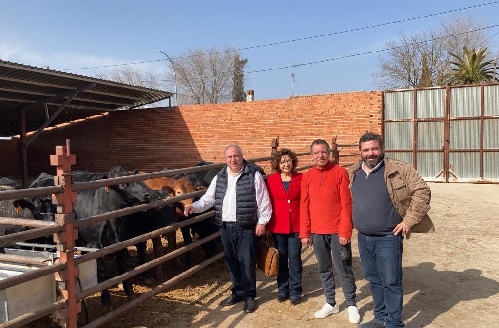 Los diputados nacionales del PP de Toledo piden soluciones para el sector ganadero