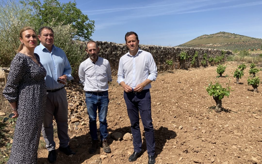 Velázquez pide mayor compromiso de la Junta con el patrimonio histórico, arquitectónico y artístico de los pueblos de la provincia