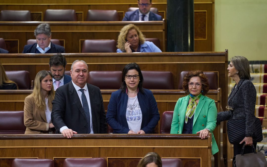 Tirado y Riolobos denuncian que con la reforma de la Ley de Seguridad Ciudadana se desprotege a los toledanos