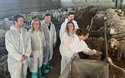 Alía: “Feijóo reconocerá el valor estratégico del sector primario, vital para la economía española y que requiere medidas urgentes ante su difícil situación”