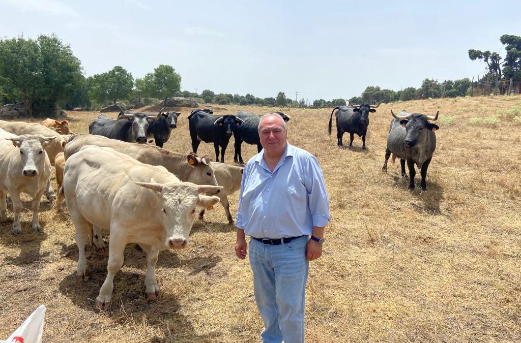 Tirado pide el voto a los hombres y mujeres del campo, para recuperar la ilusión y la esperanza en la agricultura, la ganadería y el mundo rural