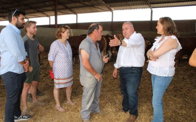 Tirado asegura que la ganadería será una prioridad para el futuro Gobierno de Alberto Núñez Feijóo