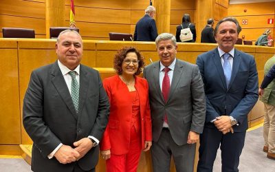 Importante representación de los parlamentarios nacionales del PP de Toledo en las comisiones del Congreso y el Senado