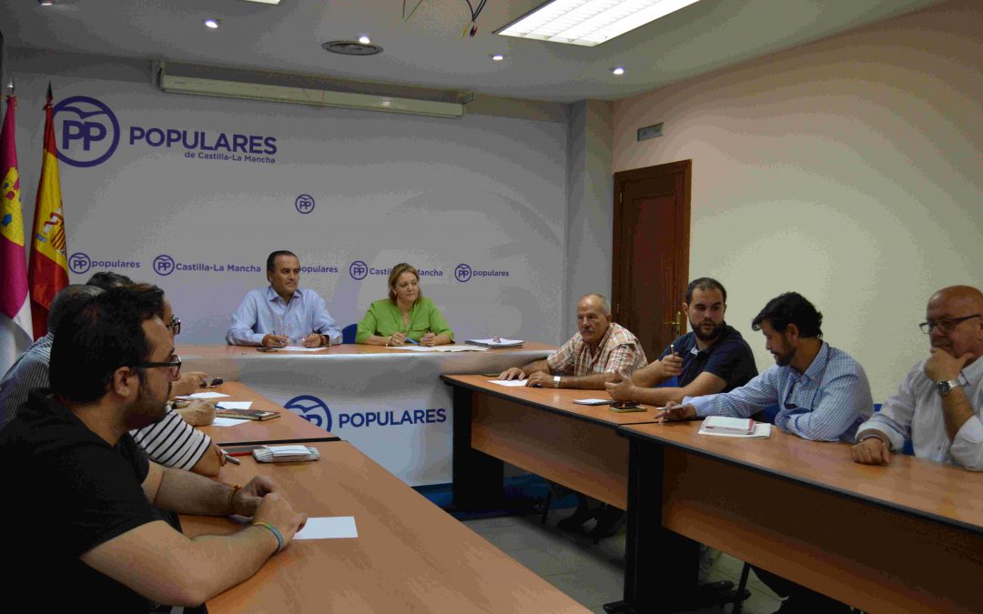 El PP de Toledo denuncia falta de profesionales sanitarios en los centros de salud de Almorox, El Toboso y Los Navalmorales