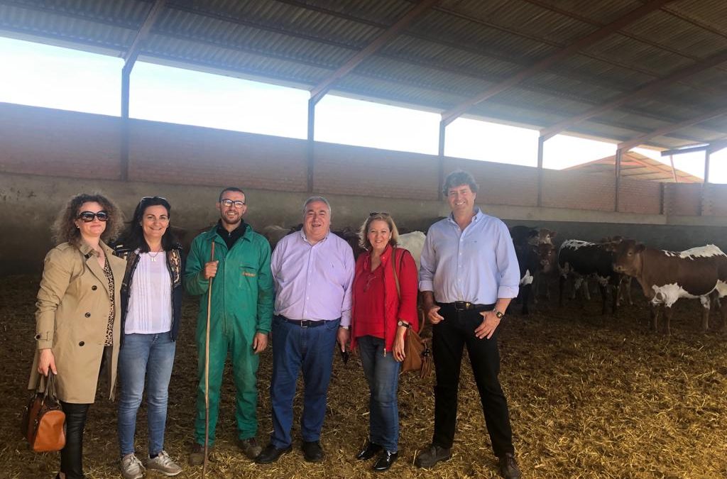 Tirado: “El único valor seguro para los agricultores y ganaderos españoles se llama Partido Popular y Pablo Casado”