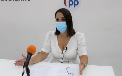 Hernández reclama a Page que acepte la propuesta del PP para bajar impuestos en Castilla-La Mancha