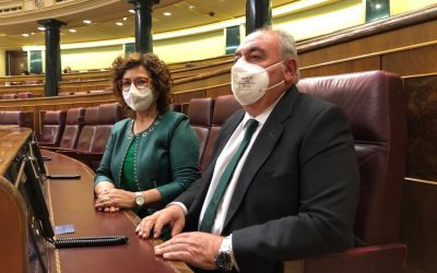 Los diputados nacionales del PP denuncian que Sánchez y Page abandonan a miles de familias, autónomos y pymes toledanas ante la espectacular subida de la luz