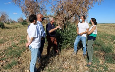 Velázquez: “Nueve meses después de Filomena no tenemos ni un solo euro de los prometidos por Page para ayudar a los agricultores”