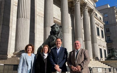 Velázquez lamenta que el PSOE se niegue a dar solución a los problemas de agua en los Montes, que afectan gravemente al sector ganadero