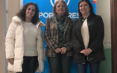 Guerrero alerta de la situación insostenible de agricultores y ganaderos y reclama medidas urgentes al Gobierno de Page