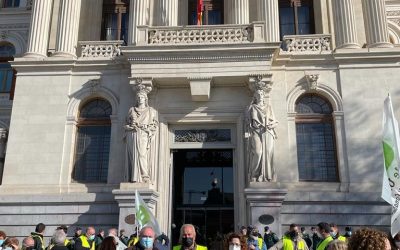 Los diputados nacionales del PP reclaman soluciones urgentes para los agricultores, ganaderos, consumidores y transportistas